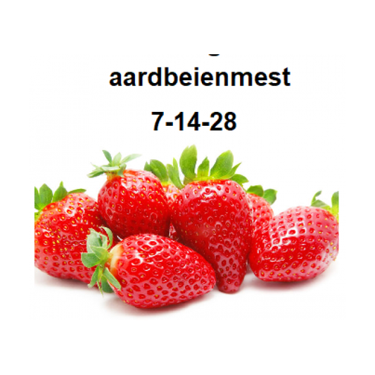 Engrais pour fraises