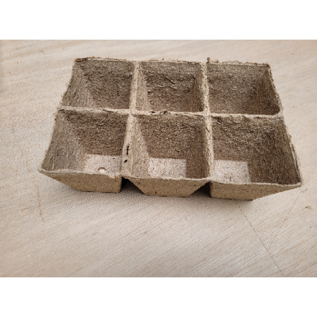 Plateau de tourbe avec 24 compartiments (8x8 cm)