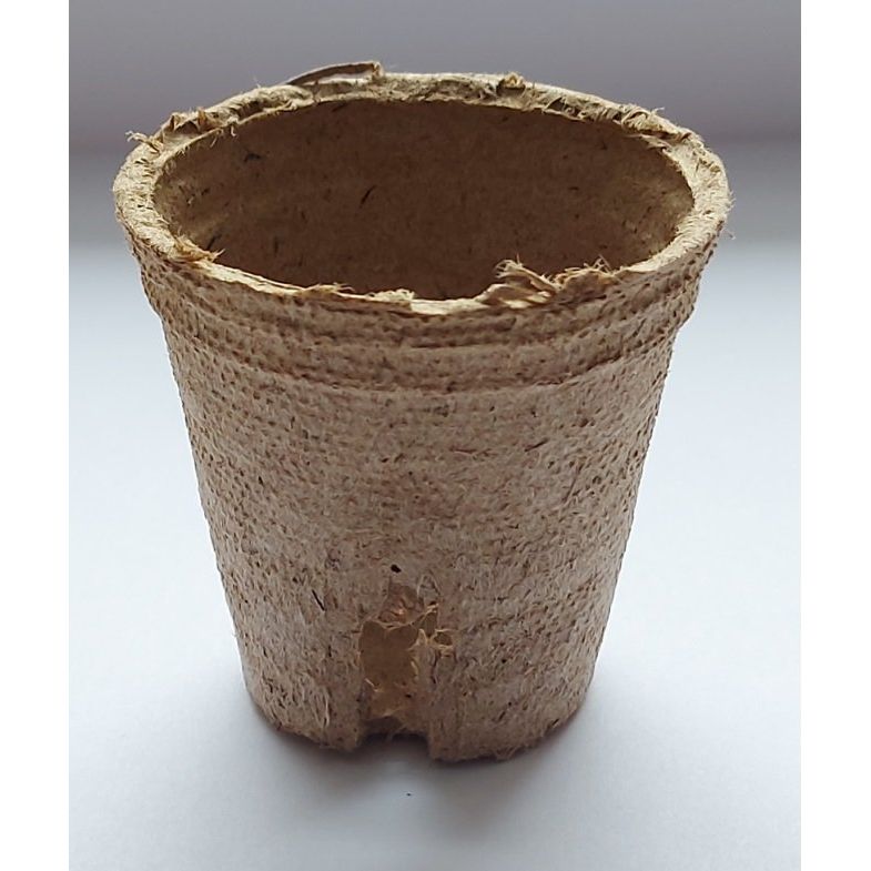 Pots de gazon 6cm