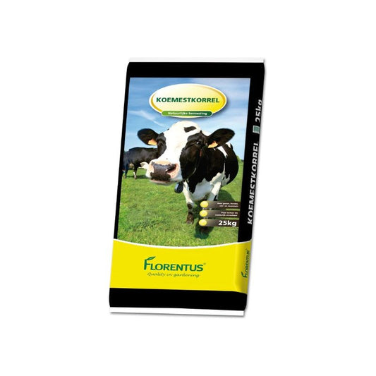 Serbatoio Compensazione Refrigerante RIDEX - Vaschetta Radiatore, Ricambio Auto, Compatibile Con OE 1304241 - Foto 4